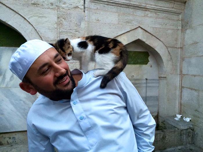 Турецкий имам впускает бездомных кошек в мечеть, чтобы они могли согреться