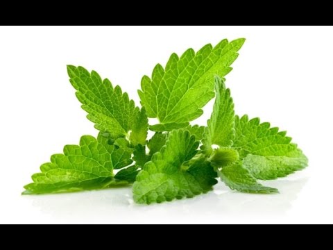 Гастроэнтеролог рекомендует: лучшее растение от гастрита, изжоги, запора, диареи и других проблем с пищеварением!