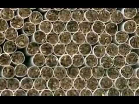 Впечатлительным это видео лучше не смотреть: из чего производят сигареты