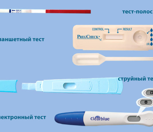 Тест на беременность: основные разновидности и особенности Тест на беременность: основные разновидности и особенности