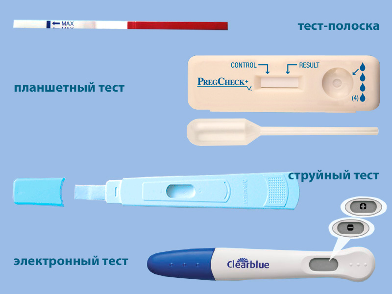 Тест на беременность: основные разновидности и особенности