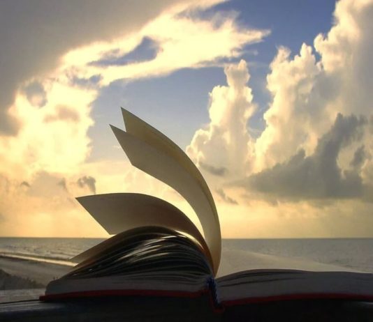 Как найти смысл книг: что это, для чего искать смысл, уровни чтения, для чего читать литературу Как найти смысл книг: что это, для чего искать смысл, уровни чтения, для чего читать литературу