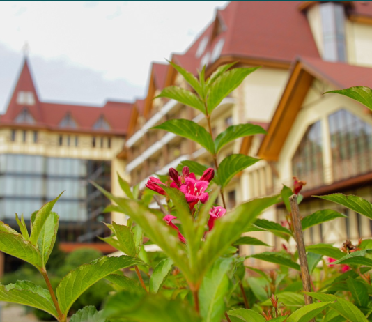 Отдых в Подмосковье в отеле «Ареал»: перечень услуг, инфраструктура, особенности и преимущества отеля Отдых в Подмосковье в отеле «Ареал»: перечень услуг, инфраструктура, особенности и преимущества отеля