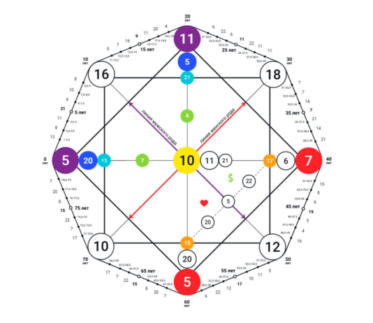 Где рассчитать матрицу судьбы: что это, история, особенности, мифы Где рассчитать матрицу судьбы: что это, история, особенности, мифы