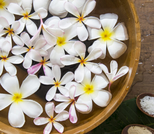 Популярные виды спа-процедур Виды СПА и как выбрать отличный салон?