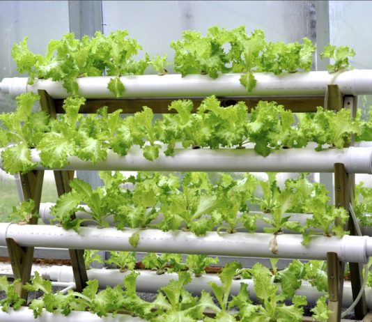 Системы гидропоники – приобрести в магазине Grow Boom Системы гидропоники – приобрести в магазине Grow Boom