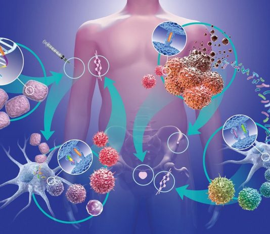 Цитокин — свойства, действие и деление цитокинов Цитокин - свойства, действие и деление цитокинов