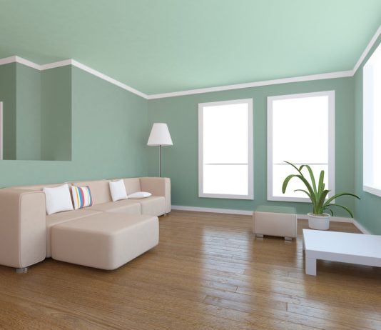 Как покрасить стены и потолки в квартире? Как покрасить стены и потолки в квартире?