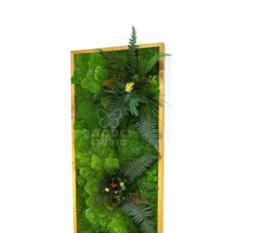 Что такое картины из мха? Что такое картины из мха?