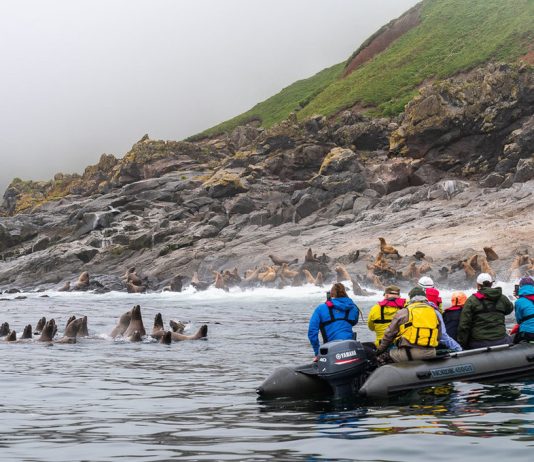 Почему стоит выбрать экскурсии по Сахалину: преимущества, интересные места