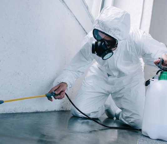 Узнайте лучшие методики борьбы с вредителями от Марафет