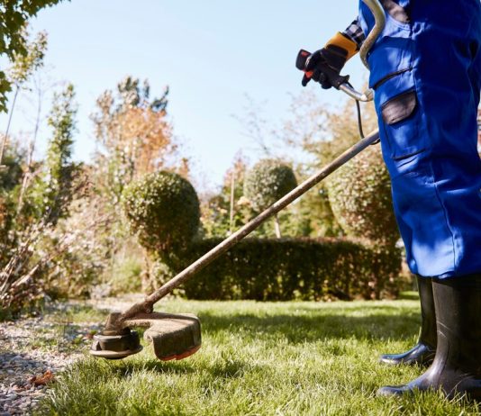 Аккумуляторные триммеры: когда свобода стрижет газон