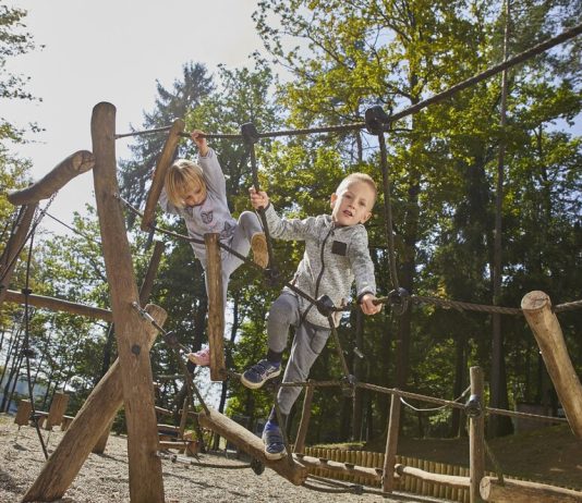 Инновационные решения в конструкции веревочных препятствий