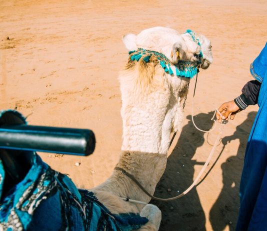 Сезоны для поездки в Марокко