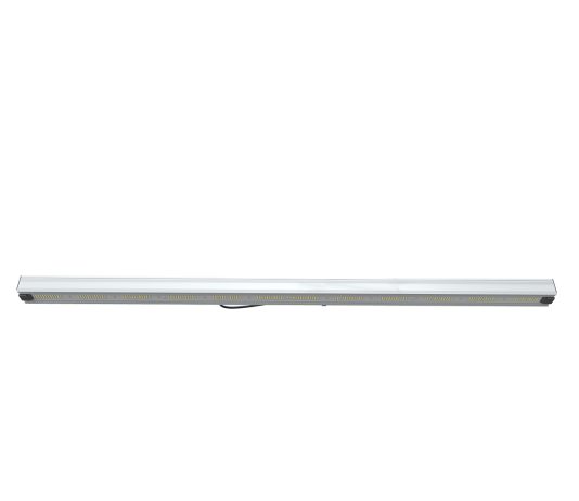 Как выбрать освещение для растений: типы, особенности