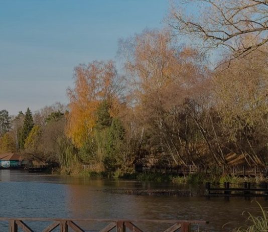 Николино: Оазис комфорта и уюта в коттеджном поселке