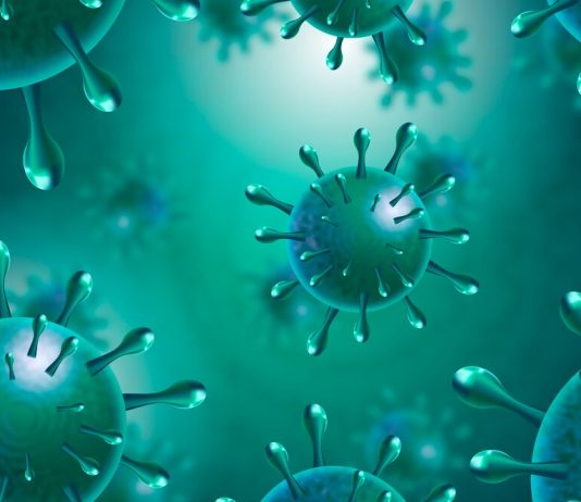 Haemophilus ducreyi, почему важно вовремя провести анализ