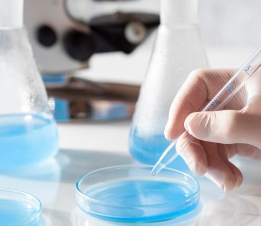 Анализ билирубина, что он показывает и зачем его сдавать?